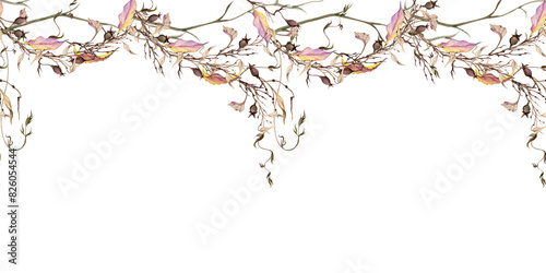 Hand drawn watercolor illustration shabby boho botanical flowers berries leaves tendrils vine rose hip branches twigs. Seamless banner isolated on white background. Design wedding, floral shop, gifts photo