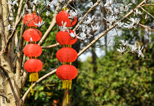 chinese lantern in the temple