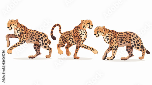 Set of four of cheetah leopard or jaguar. Wild cat 