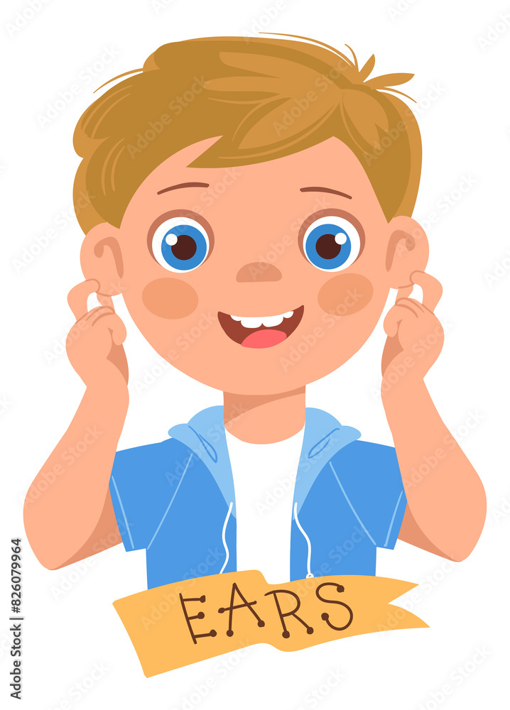 Boy pointing ears. Face anatomy part education Boy pointing ears. Face anatomy part education