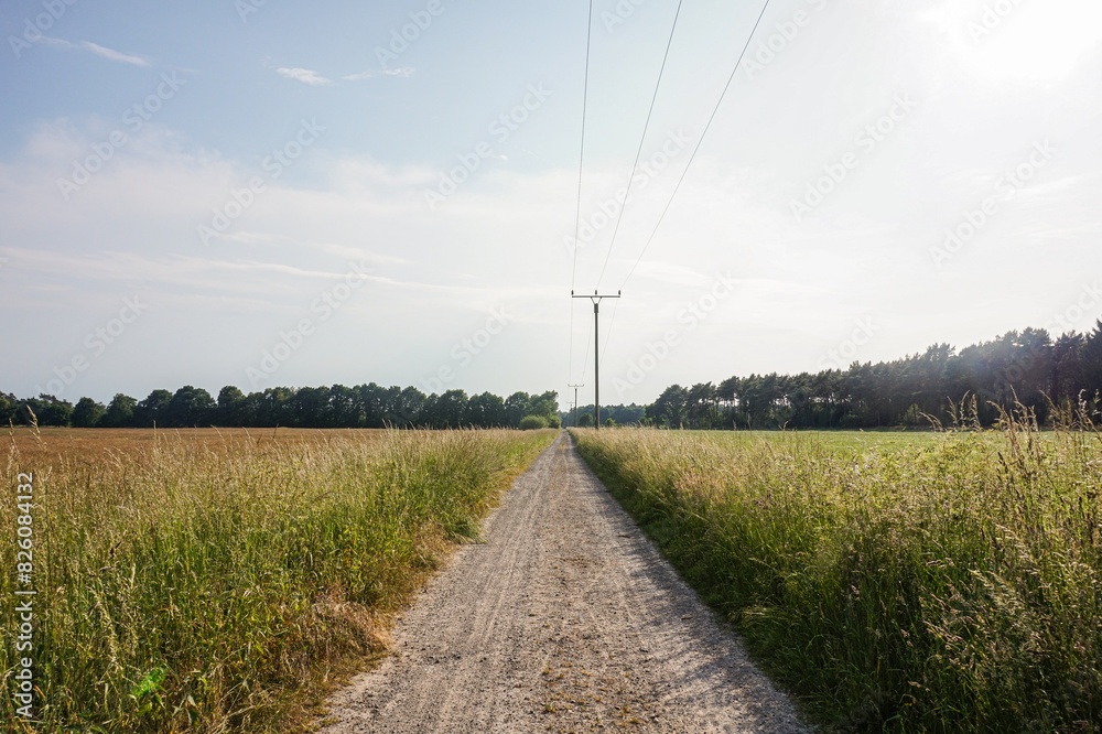 Path in the middle of the countryside in northern Germany Path in the middle of the countryside in northern Germany