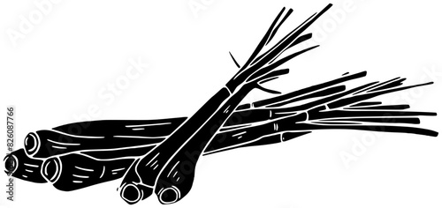 seasoning illustration food silhouette lemongrass logo spice icon herb outline organic ingredient culinary cooking leaf aromatic natural vegetable green shape condiment chili aroma for vector graphic