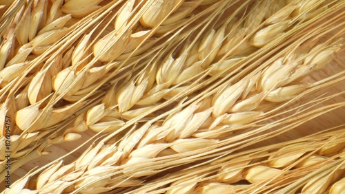 A mesmerizing macro view revealing the intricate network of veins and fibers within each wheat ear, portraying nature's complexity up close. Carbohydrate concept. Wheat background. 