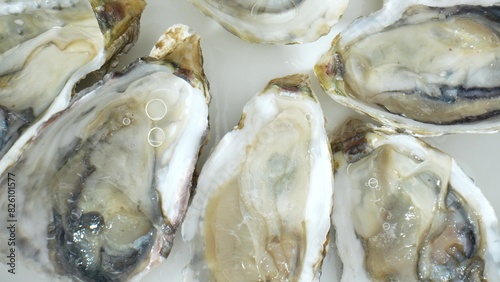 Oysters associated with aphrodisiac qualities due to sensual texture and high zinc content, believed to enhance libido and fertility. This romantic allure adds to their appeal as a indulgence. 