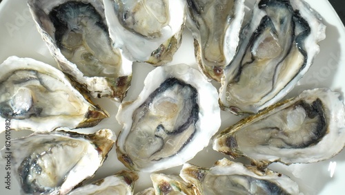 Oysters: Mollusks in Ostreidae family, dwell in saltwater or brackish habitats. Recognizable by hinged, irregularly shaped shells, varying in size and color. 