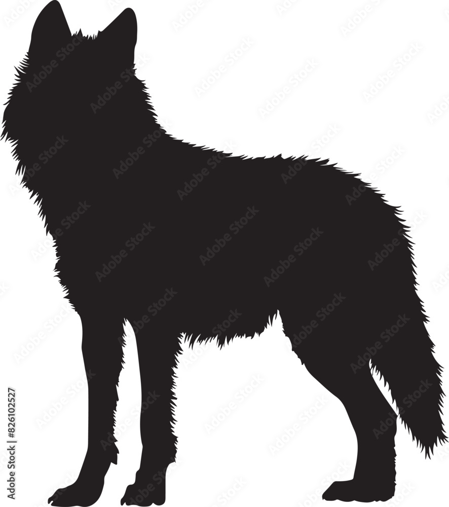Obraz premium wolf silhouette on transparent background