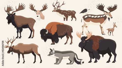 North american animals. Animal graphics of North Amer