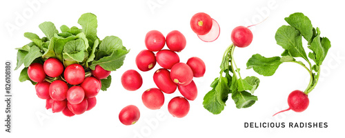 Red radish green leaves bunch collection isolated. PNG with transparent background. Flat lay. Without shadow. photo