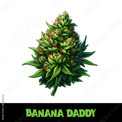 Vector Illustrated Banana Daddy Cannabis Bud Strain Cartoon