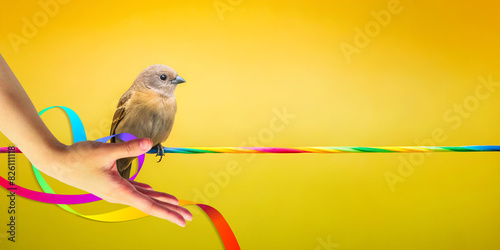 Abstract background. Hand with small bird standing on a rainbow rope and ribbon in LGBTQ concepts and freedom of thought and pride in a yellow background. Pride, Equality, Inclusion, Diversity photo
