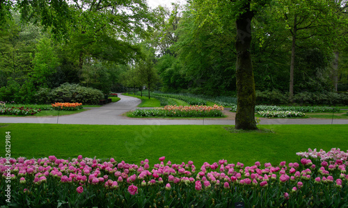 Garden with blooming spring flowers