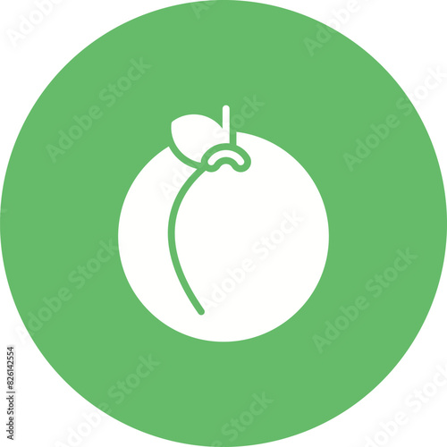 Peach Vector Icon