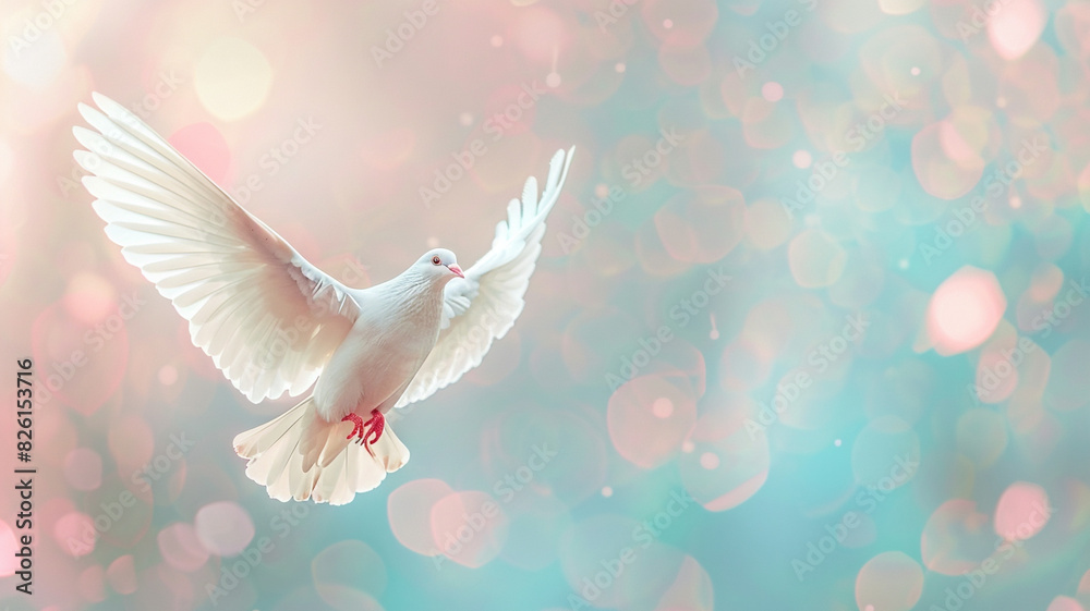 Fototapeta premium Beautiful white dove flying in the air on pastel bokeh background with copy space for text or design. Concept of freedom