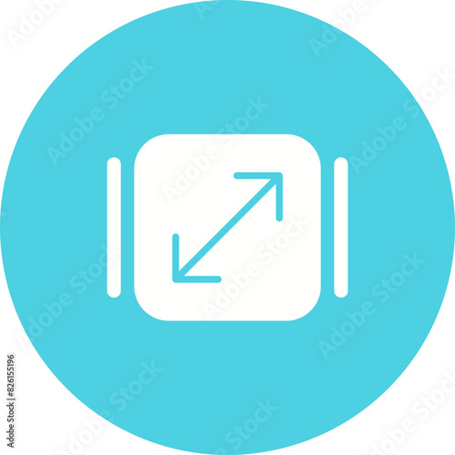 Resize Vector Icon