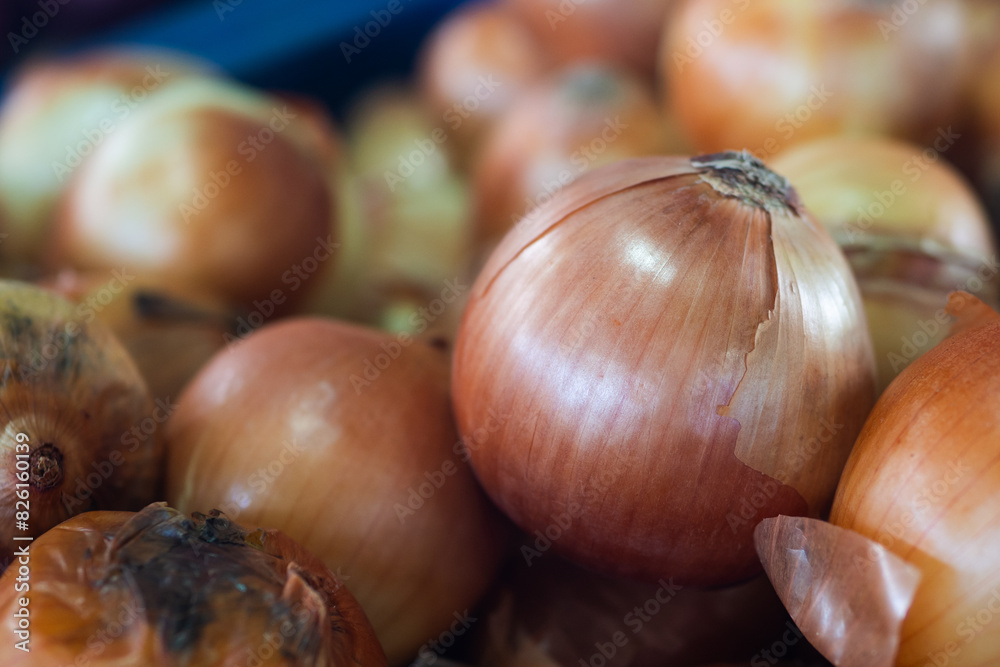Larger group of onion for texture and background. Larger group of onion for texture and background.