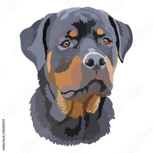 Portrait of a dog of the Rottweiler breed