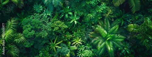 Top view of a lush forest. Green background