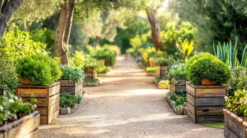 Beautifully landscaped garden path lined with vibrant green plants and flowers, radiating tranquility