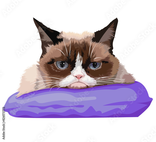 Portrait of a cat with a displeased look