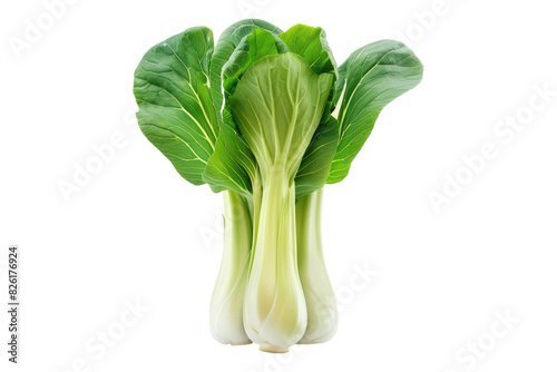 Bok choy vegetable isolated on white background