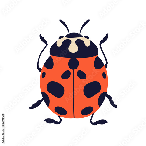 Ladybug, ladybird beetle. Red lady bug with black spots on wings, top view. Insect, spotty fauna species, icon. Flat graphic vector illustration isolated on white background
