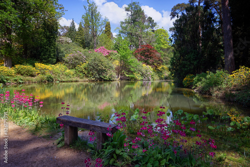 A seat by the lake at Leonardslee Lakes and Gardens in Horsham Sussex UK