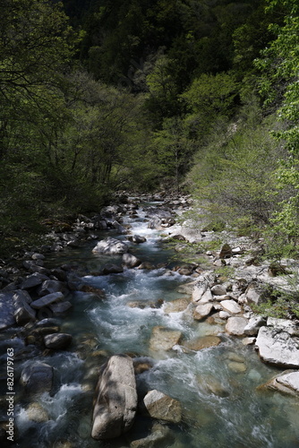 長野県の川