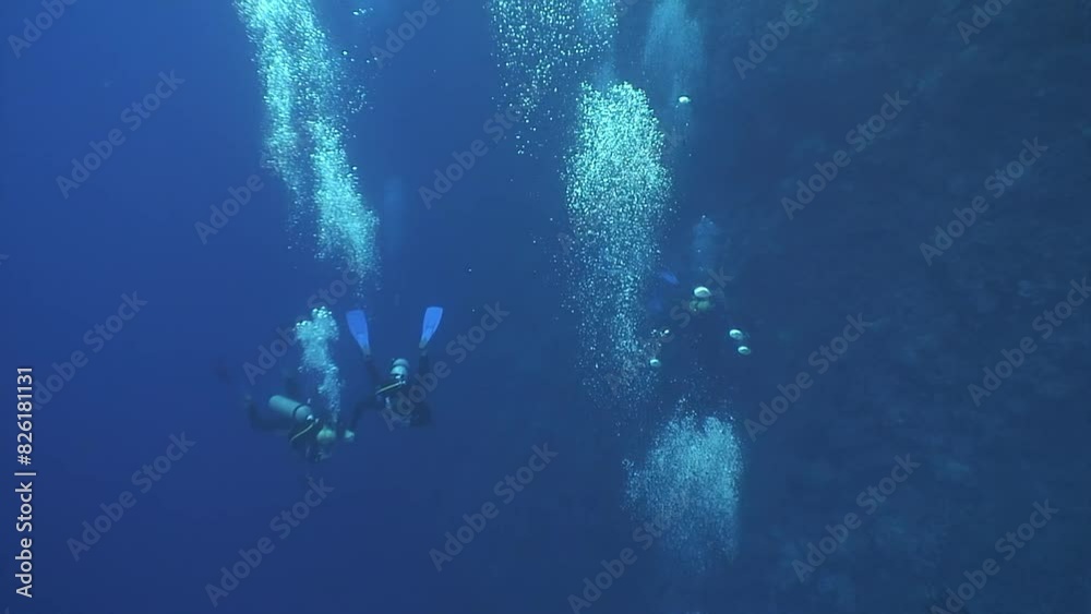 Group of people swimming in ocean. Water is clear and blue. People are wearing flippers and swimming in line, bubbles rising. Group of people swimming in ocean. Water is clear and blue. People are wearing flippers and swimming in line, bubbles rising.
