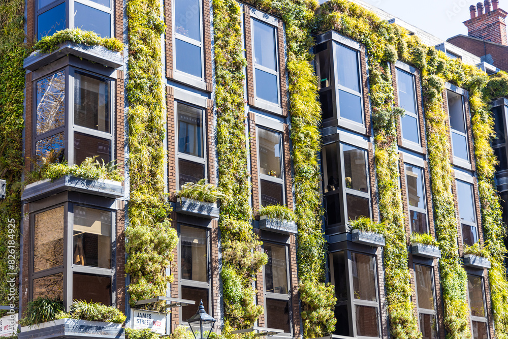 Climate change solutions using green plant walls to aid in carbon emission limitations Climate change solutions using green plant walls to aid in carbon emission limitations