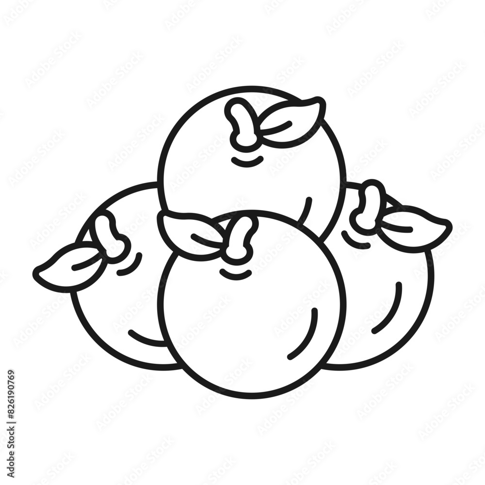 Chinese New Year Orange Icon With Outline Design Style