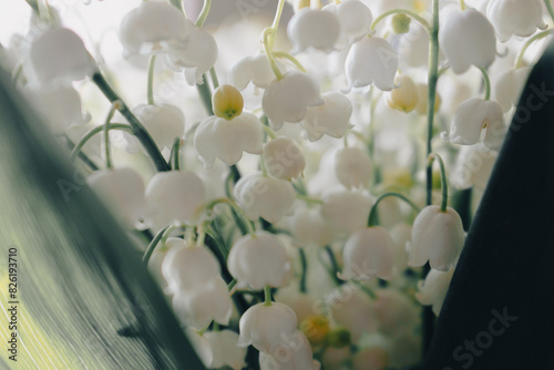 Beautiful lily of the valley bouquet, close up. Idyllic lily of the valley. Wild spring flowers concept. Tenderness and purity concept. Aroma white flowers. Romance background.