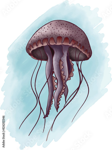 jellyfish