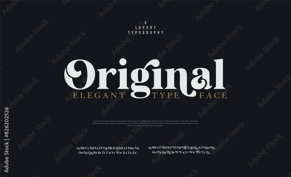 Elegant Font Uppercase Lowercase and Number. Classic Lettering Minimal Fashion Designs. Typography modern serif fonts regular decorative