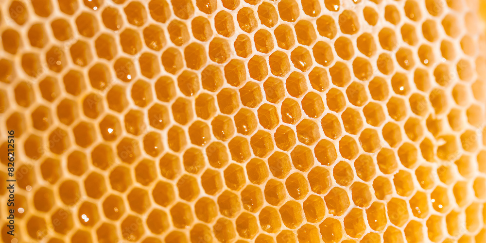 honeycomb macro. Background texture and pattern of a section of wax honeycomb. Long banner format