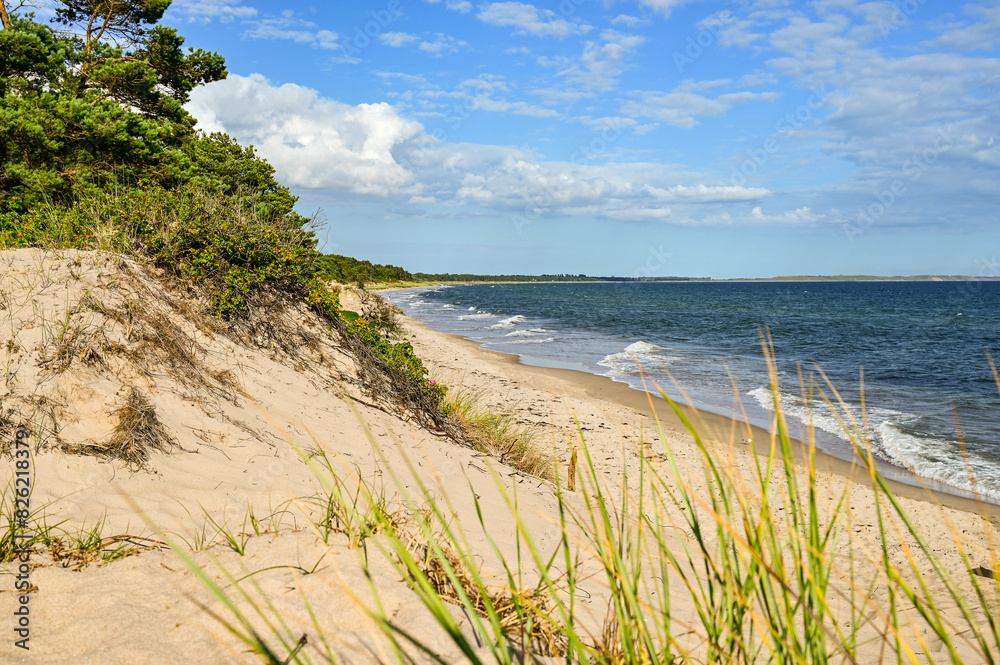 Vacation in Sweden - Vacation on the sandy beach Mossbystrand beach with a view of the Baltic Sea, in summer with a blue sky, Skivarp, Öresund, Skane Lan, Sweden Vacation in Sweden - Vacation on the sandy beach Mossbystrand beach with a view of the Baltic Sea, in summer with a blue sky, Skivarp, Öresund, Skane Lan, Sweden