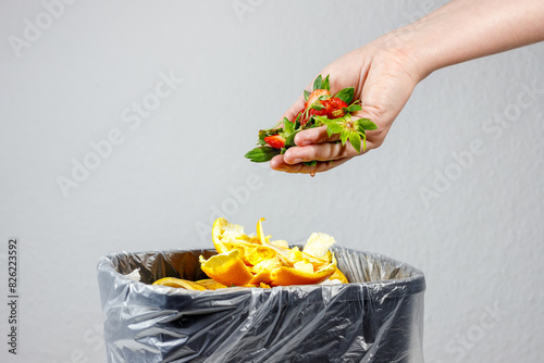 garbage bio waste. sorting and recycling of garbage