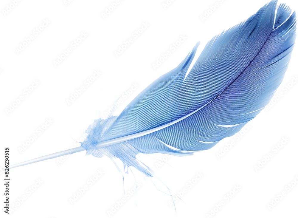 blue feather isolated on transparent background blue feather isolated on transparent background