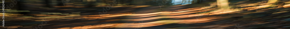 Forest Trail Curve at Dawn Captured at High Speed with Motion Blur
