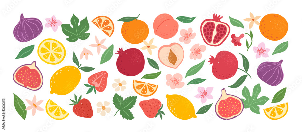 Collection hand drawn colorful abstract fruits, leaves and flowers. Natural tropical fruits. Strawberry, peach, lemon, pomegranate, fig, orange. Vector illustration. Collection hand drawn colorful abstract fruits, leaves and flowers. Natural tropical fruits. Strawberry, peach, lemon, pomegranate, fig, orange. Vector illustration.