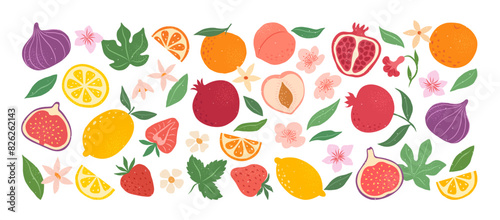 Collection hand drawn colorful abstract fruits, leaves and flowers. Natural tropical fruits. Strawberry, peach, lemon, pomegranate, fig, orange. Vector illustration.