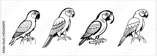 Black and white coloring pages Animals parrot icon Vector stock illustration EPS 10