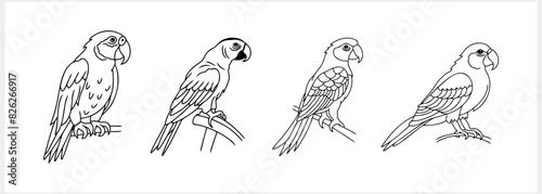 Black and white coloring pages Animals parrot icon Vector stock illustration EPS 10