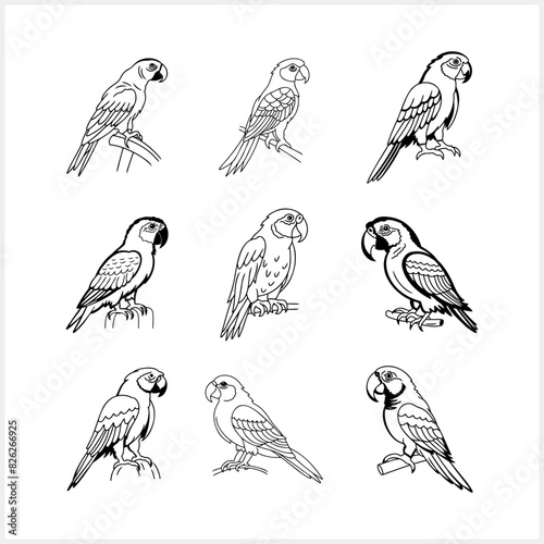 Black and white coloring pages Animals parrot icon T-shirt print, tattoo design Vector stock illustration EPS 10