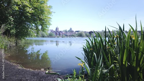 Diss parkland fishing lake peaceful reservoir with swimming ducks photo