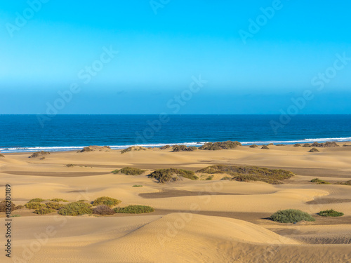 Panoramic view of the English beach and  of the Maspalomas Dunes