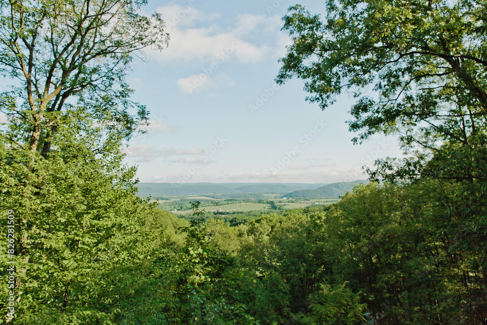 Cabin View of North east valley of trees in Pennsylvania