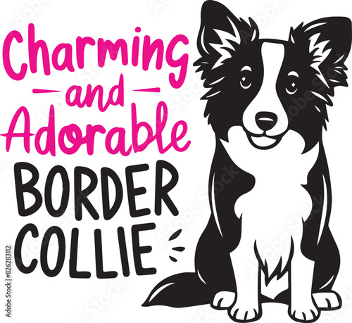 Border Collie Charming and Adorable Vector Illustration