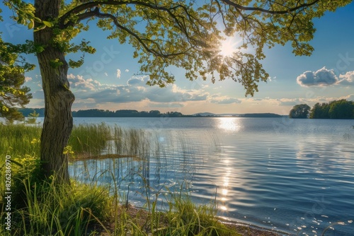 The quiet lakeside, disturbed only by gentle waves and rustling leaves, as sunlight casts playful shadows on the water