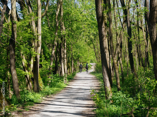 Boschi di Cesate  in the natural park of Groane  Milan  Italy