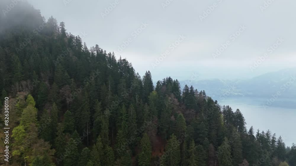 Aerial revealing shot of famous Vierwaldstättersee in Switzerland. Forest trees on hills during cloudy day. Aerial revealing shot of famous Vierwaldstättersee in Switzerland. Forest trees on hills during cloudy day.
